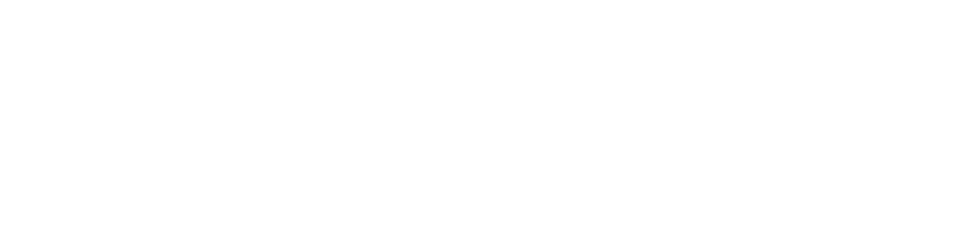 SALTY DOG
